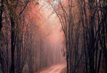 长沙天涯社区怀旧之旅：那些年的网事回忆