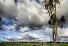 长沙天涯社区怀旧之旅：那些年的网事回忆