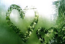 长沙天涯社区怀旧之旅：那些年的网事回忆