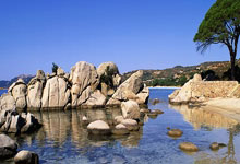 长沙天涯社区怀旧之旅：那些年的网事回忆